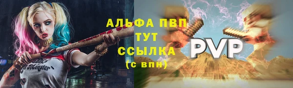 винт Осташков