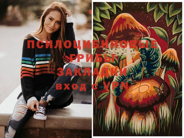прущий лед Няндома