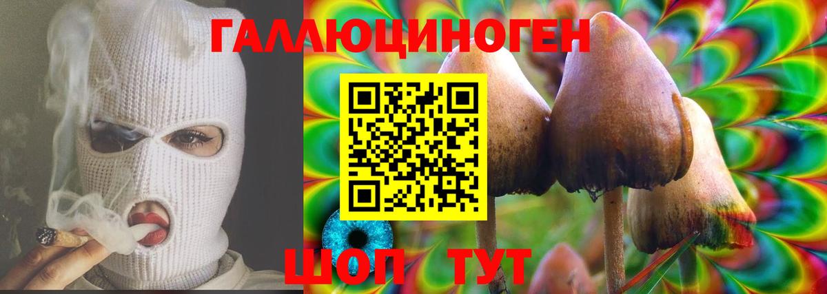 Галлюциногенные грибы GOLDEN TEACHER Омск