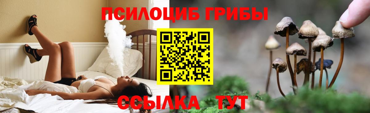  COCAIN Омск